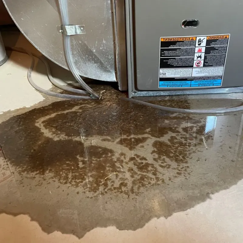 Pipe Burst and Leak Restoration in Aberdeen, MD